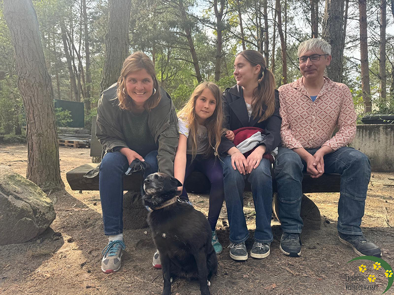 Freddy hund aus tierheim brandenburg 1
