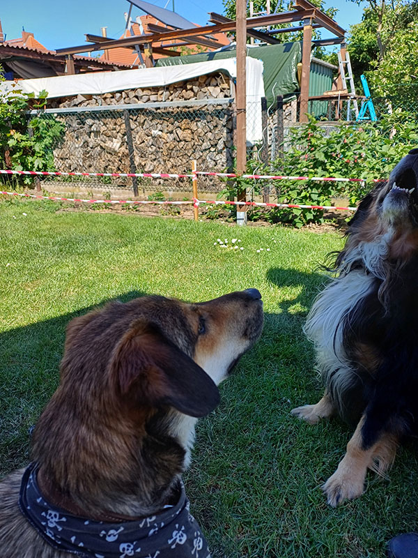 Stan, jetzt Rudi