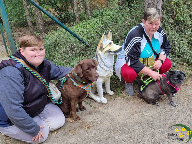 frops aus dem tierheim 1