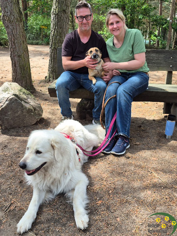 alia hund aus tierheim brandenburg