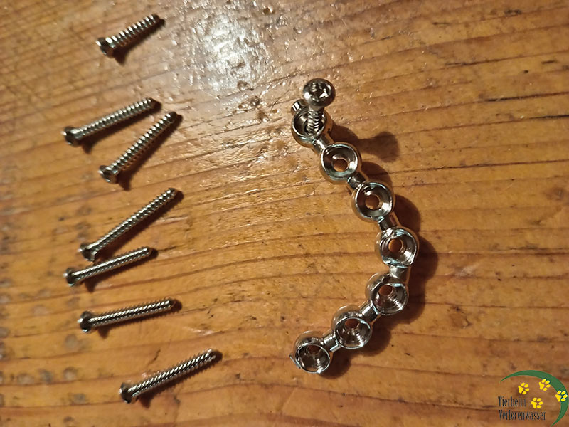 komplizierte operatationen hund tierschutz 1