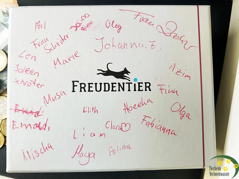 schulkinder sammeln fuer tiere