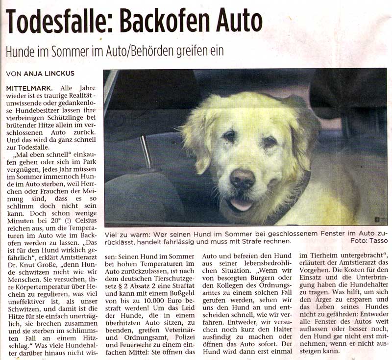 Backofen Auto