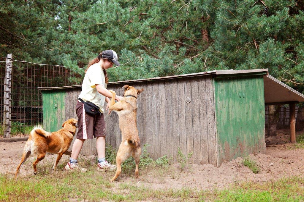 Sheppy & Siralda