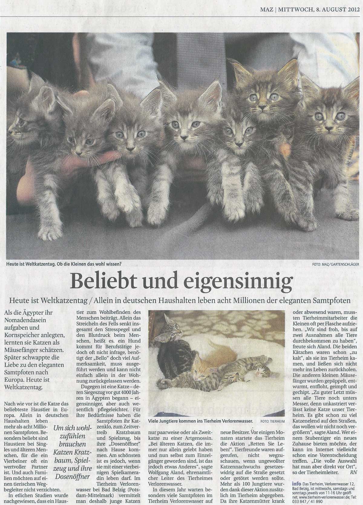 Weltkatzentag