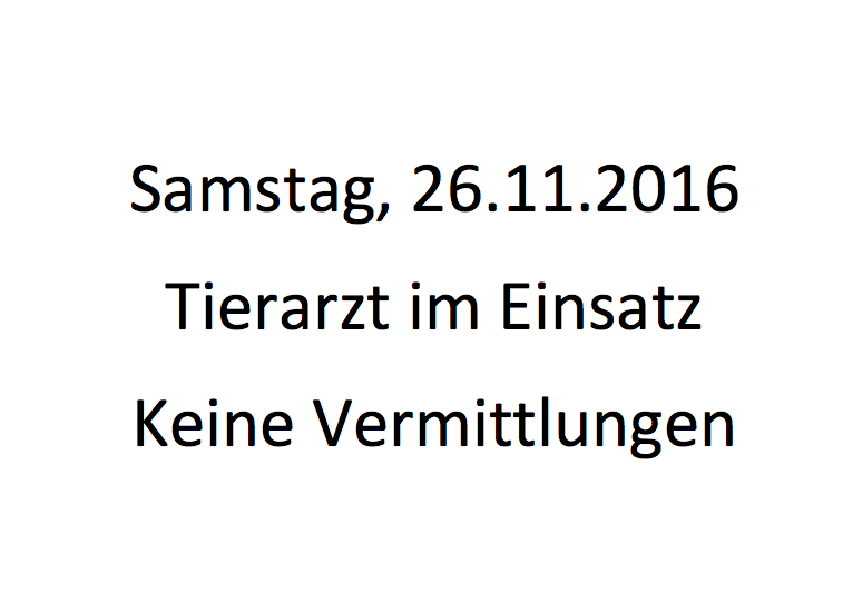 Bildschirmfoto 