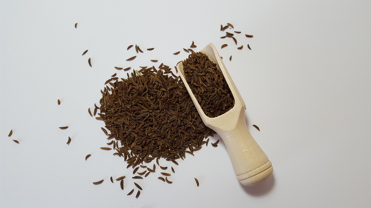 Kümmel