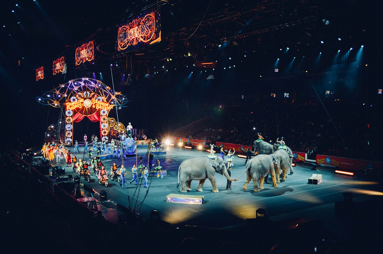 Zirkus
