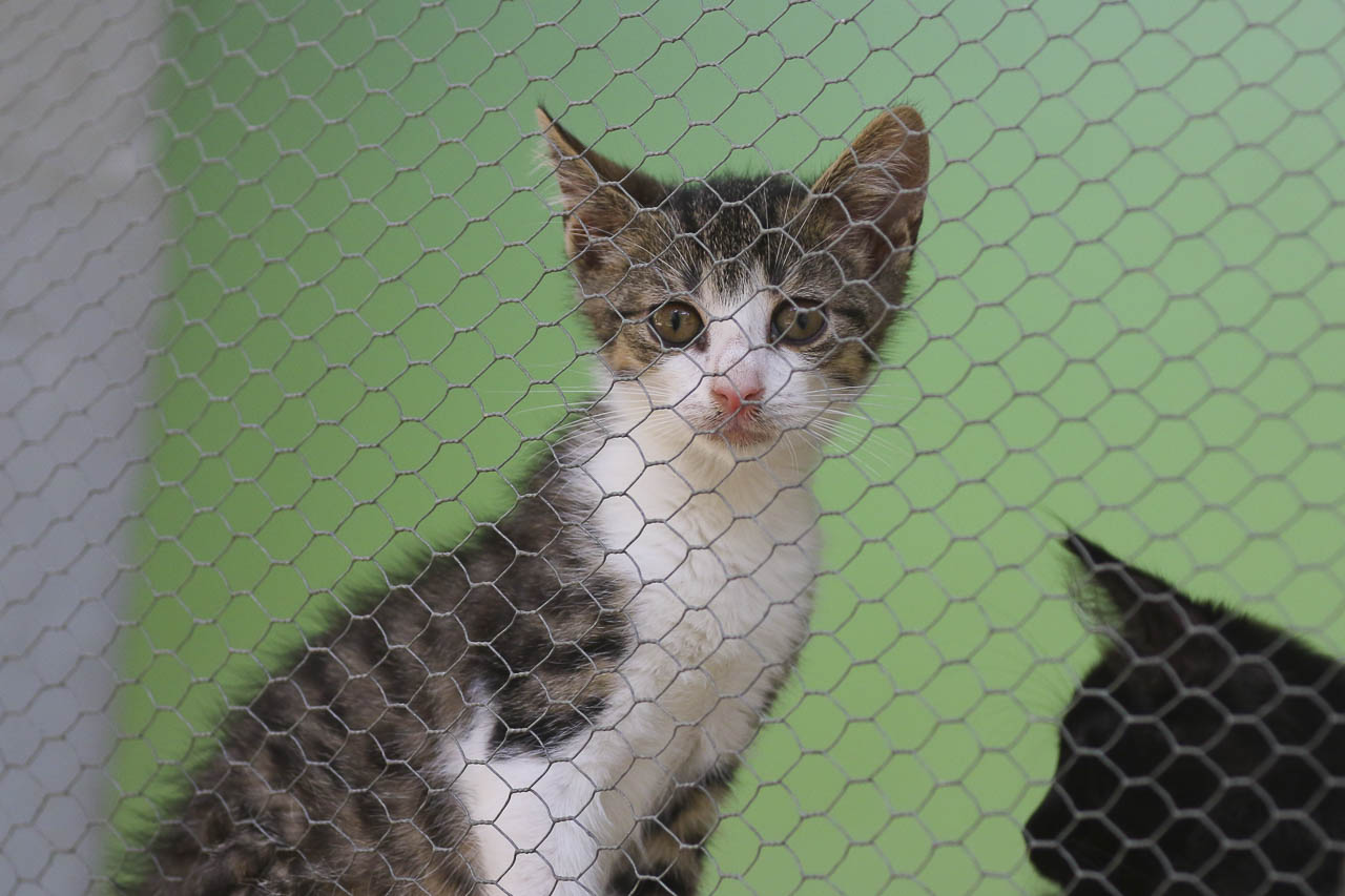 Hinter Gittern