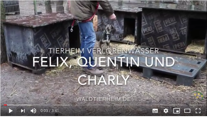 Felix, Quentin und Charly