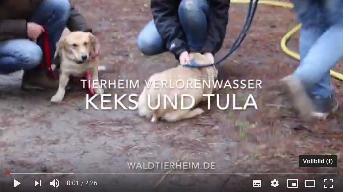 Keks und Tula