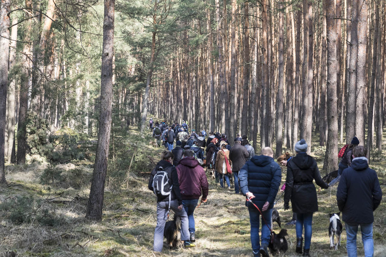 Hundewanderung
