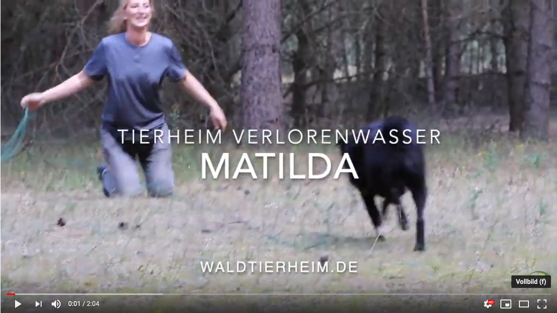 Matilda