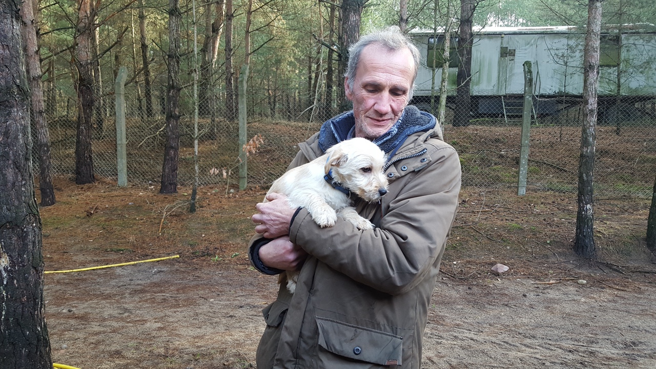 Welpen
