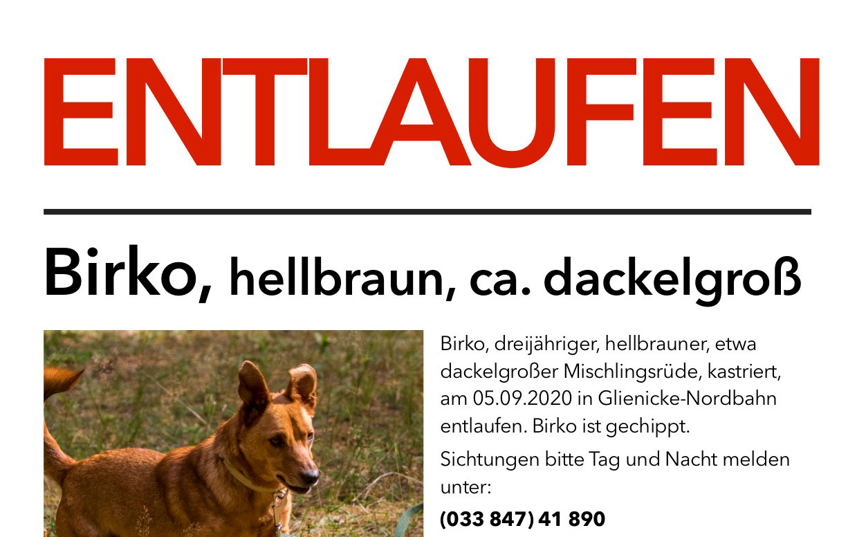 Birko Entlaufen