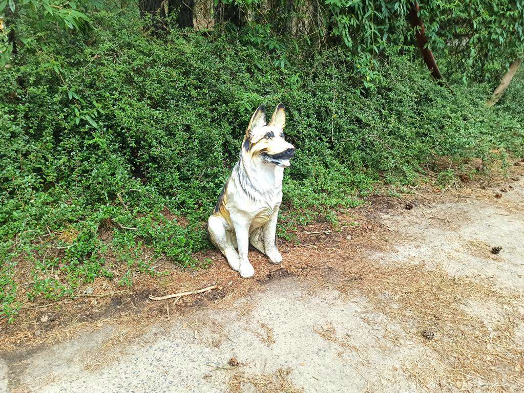Der perfekte Hund