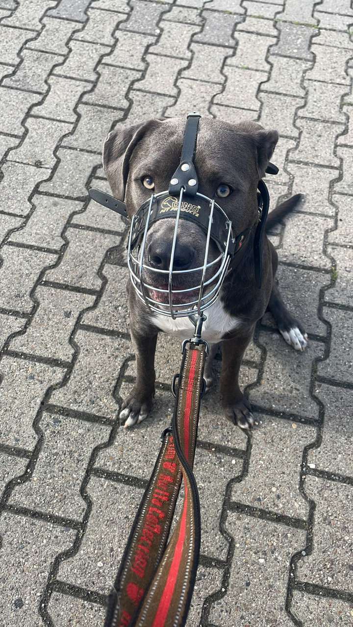 Tyson