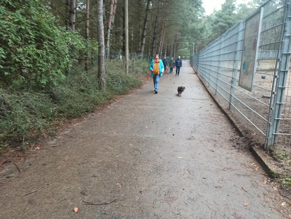 Igelfreunde