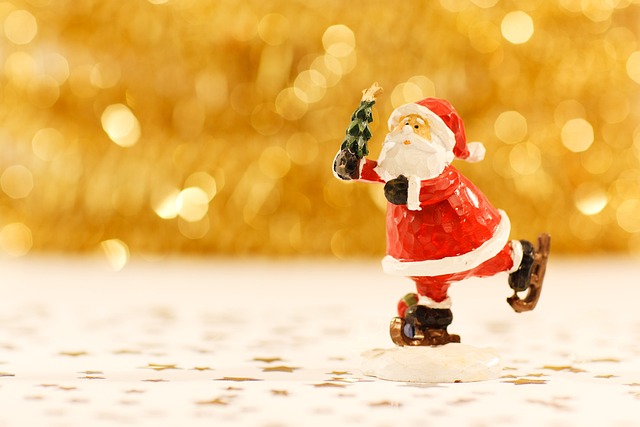 Weihnachten 2024 - Spenden fürs Tierheim sind willkommen