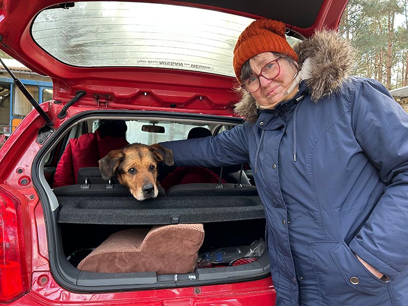susi hund aus dem Tierheim