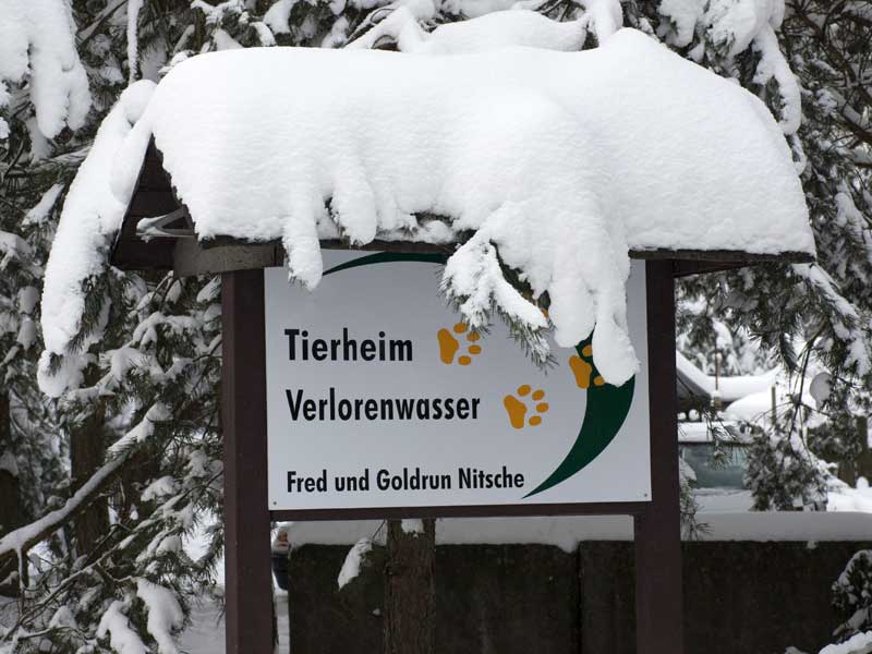 Winter