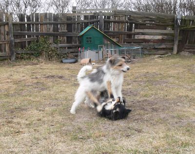 Action