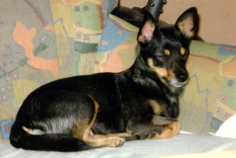 Nora