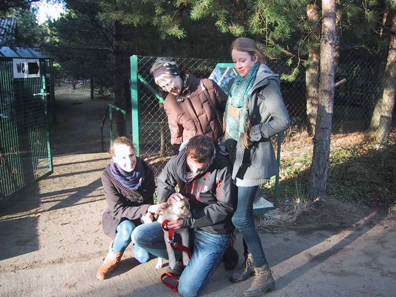 Konja