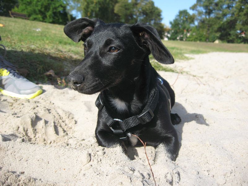 Rabea im Sand