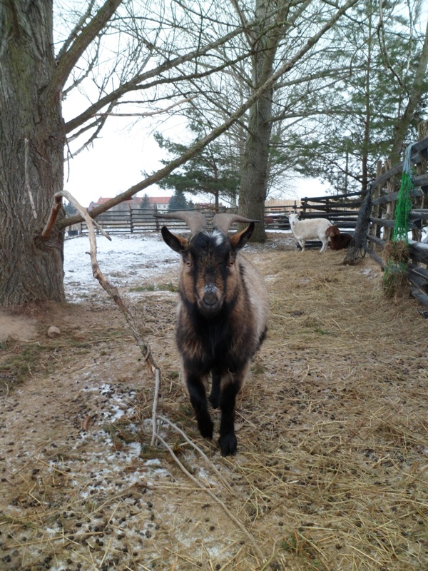 SAM 0671