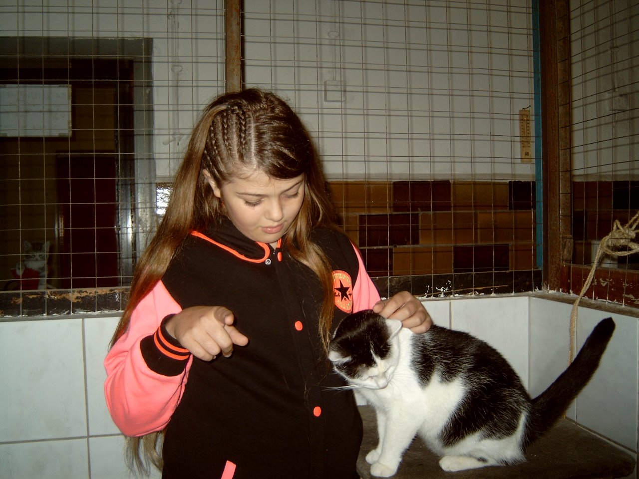 tatzi