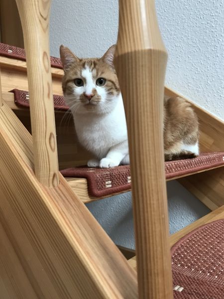 marvin 01
