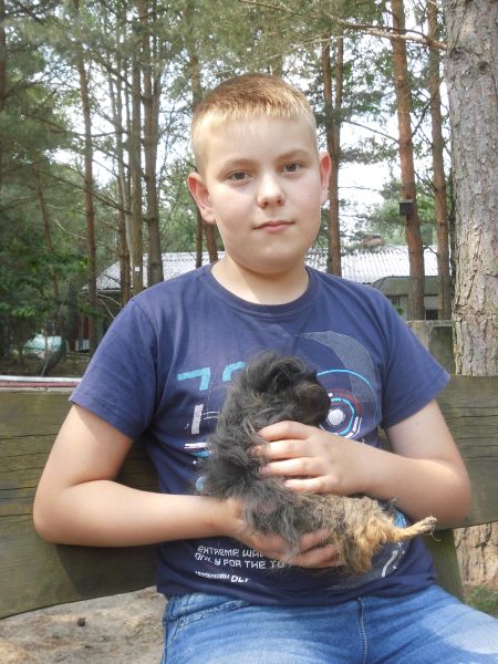 meertschwein 02