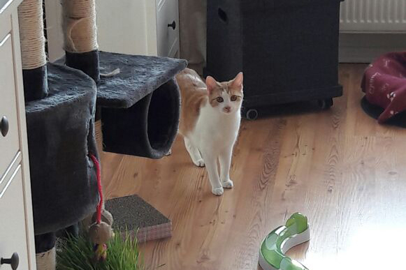 Mia