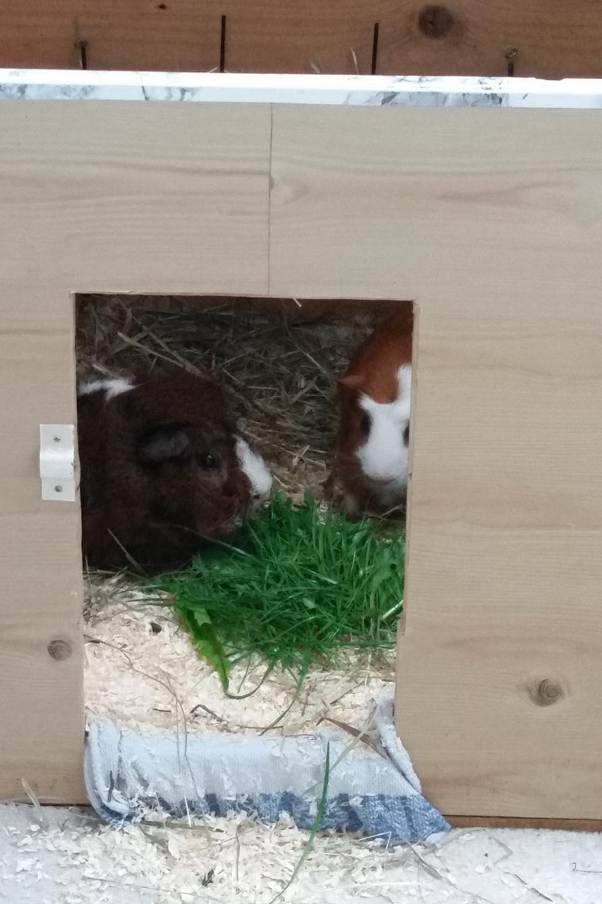 Terence und Bud