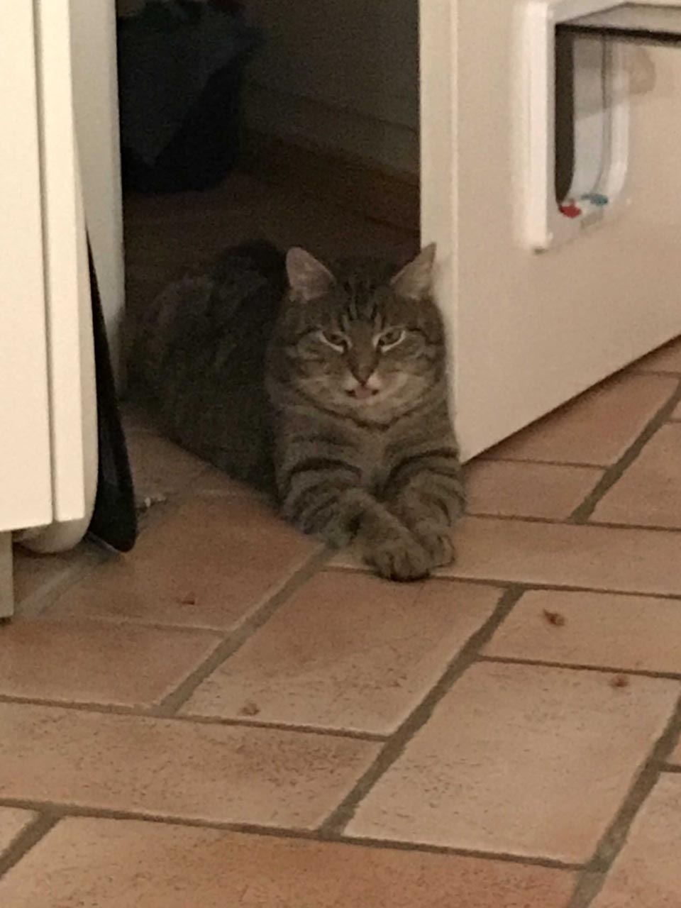 Fritz