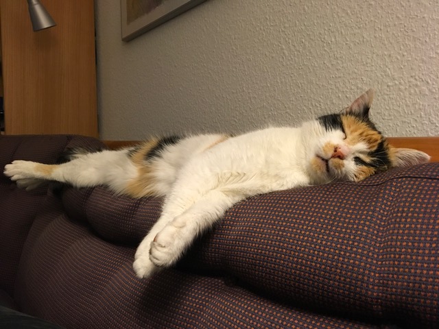 Luni