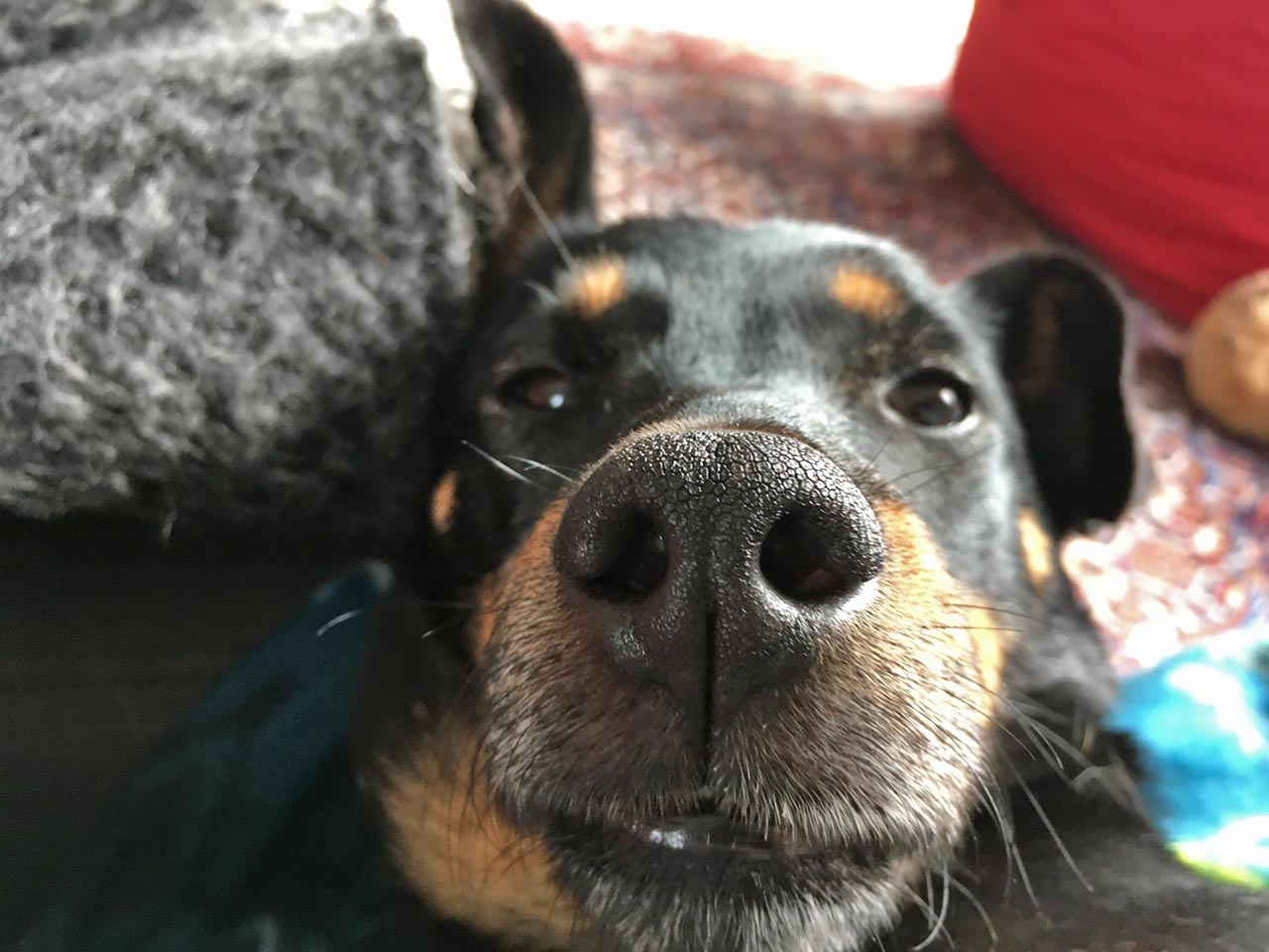 Mika