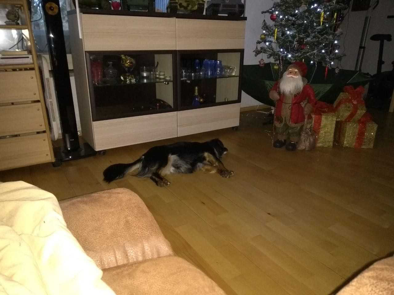 Frohe Weihnachten