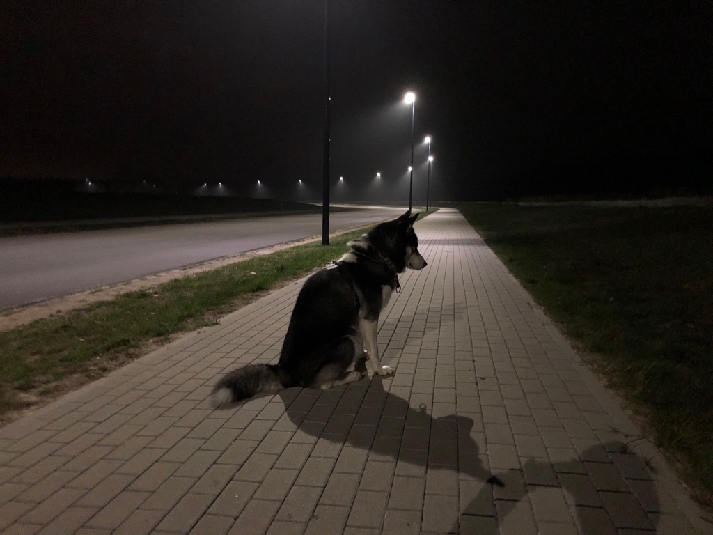Storm