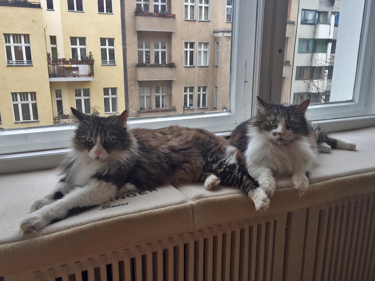 Tara und Scarlett