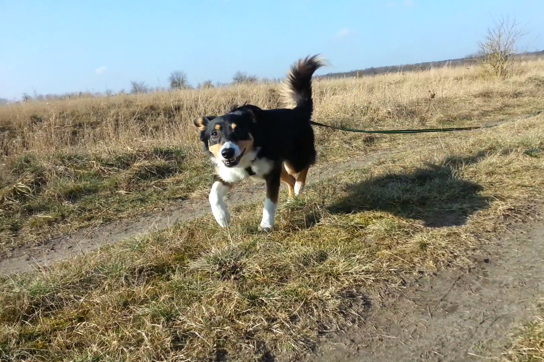 Tilly