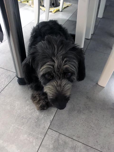 Blacky