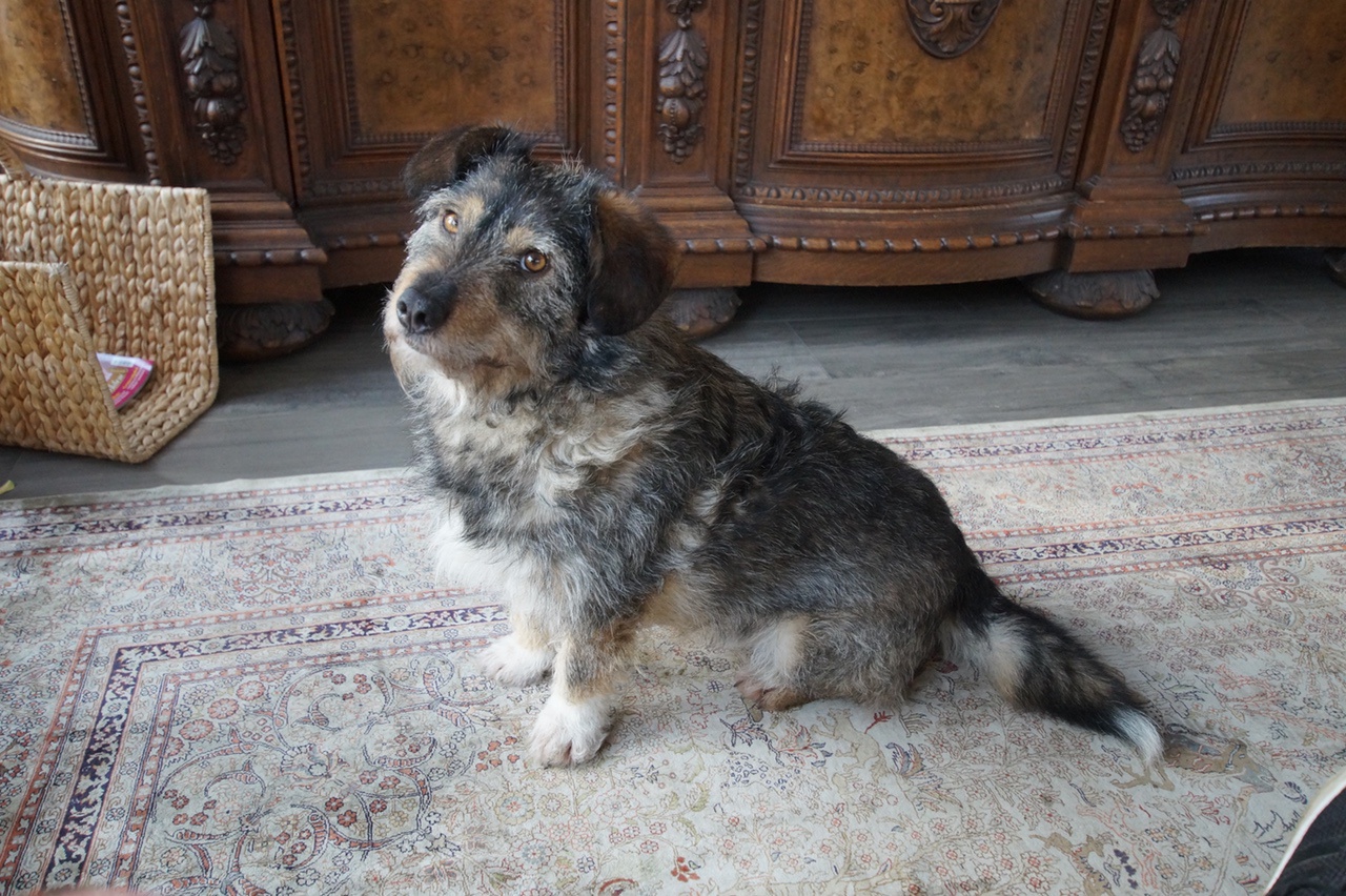 Charlie
