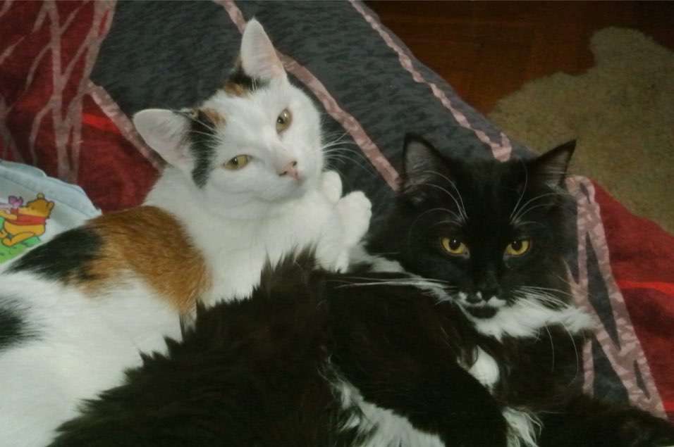 Coco und Bambi