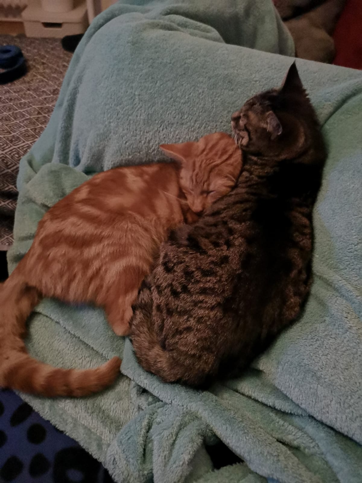Eske und Bibo