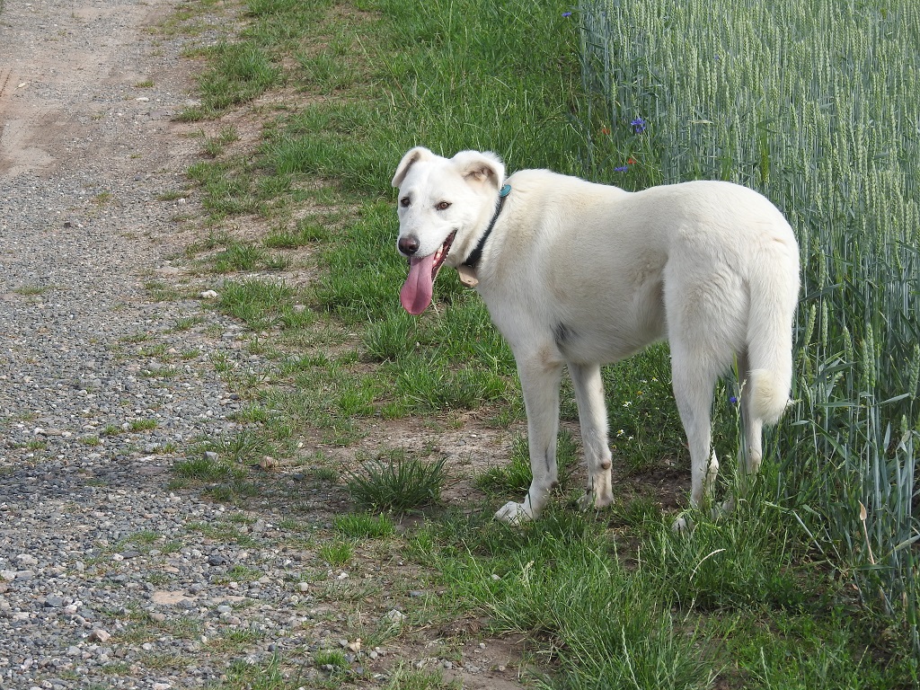 Gerry