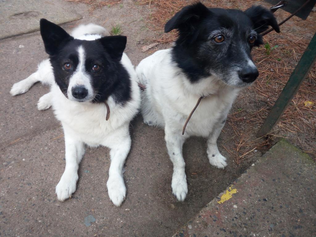 Juno und Julie