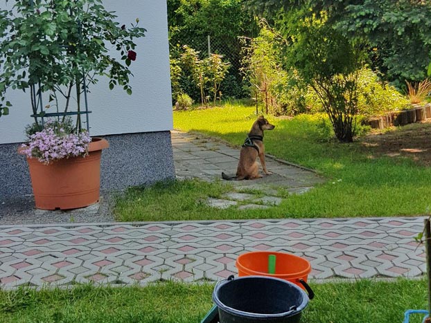 Lotti