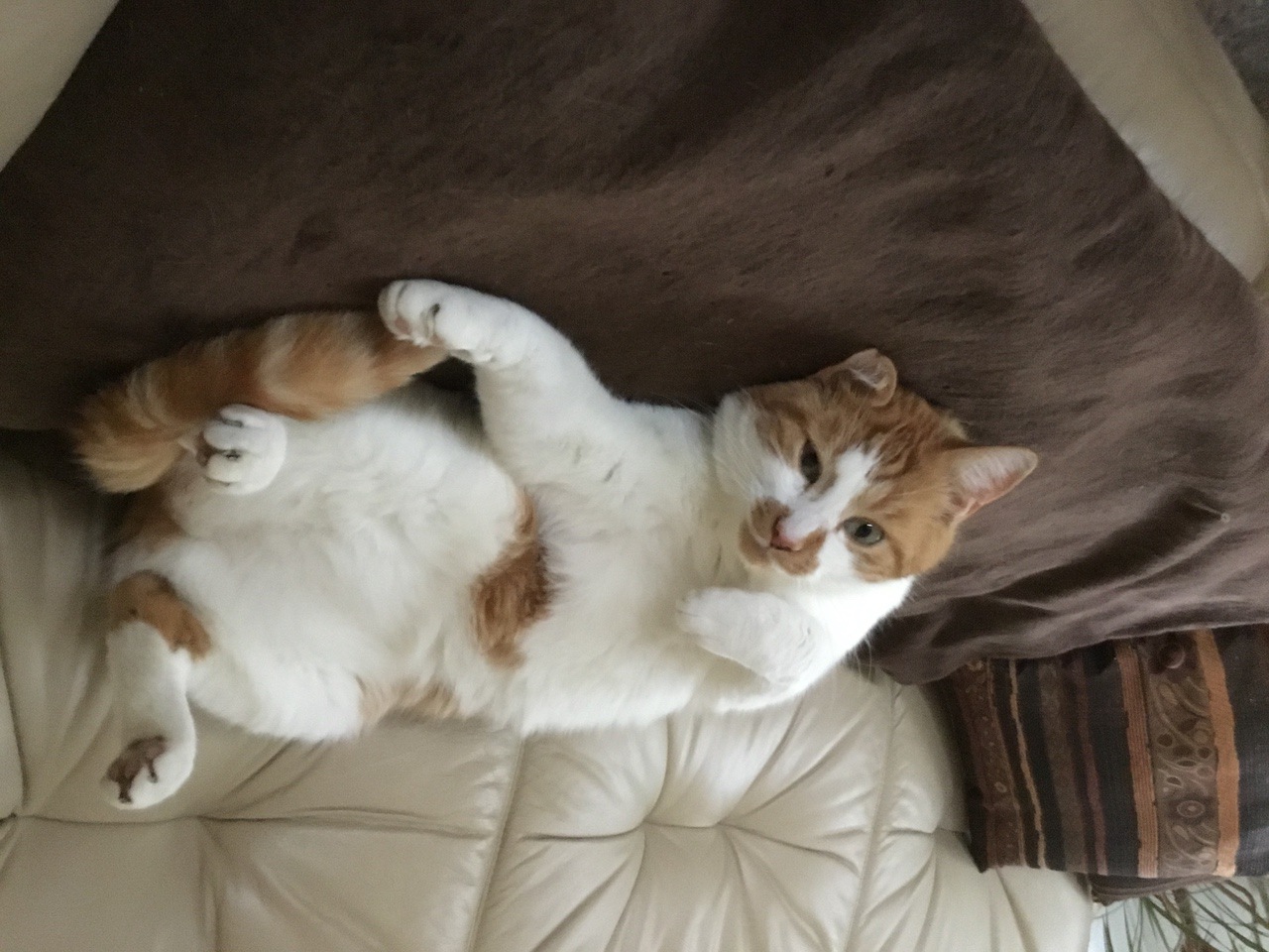 Marvin
